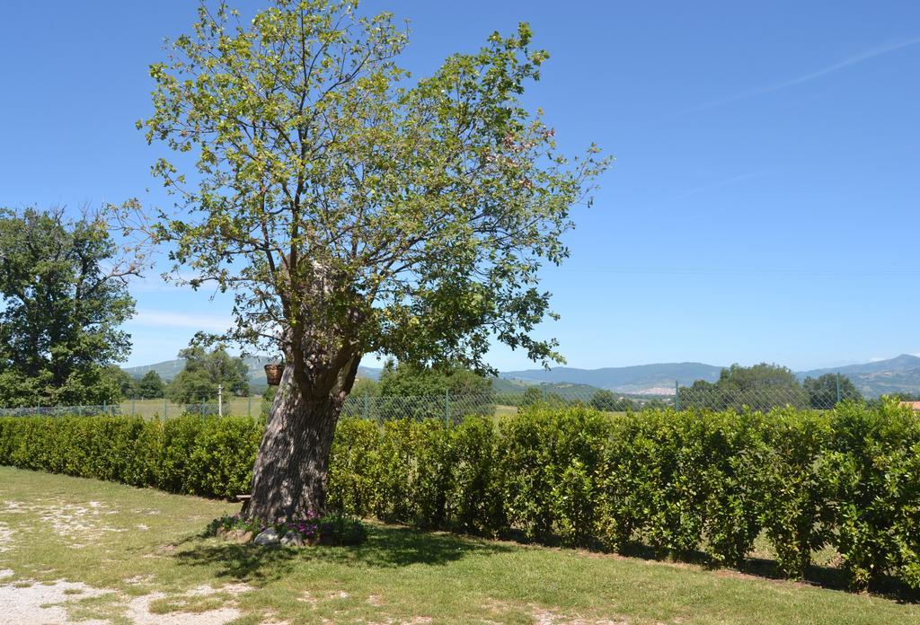 Al Bosco Delle Api Hotel Gallicchio Exterior foto