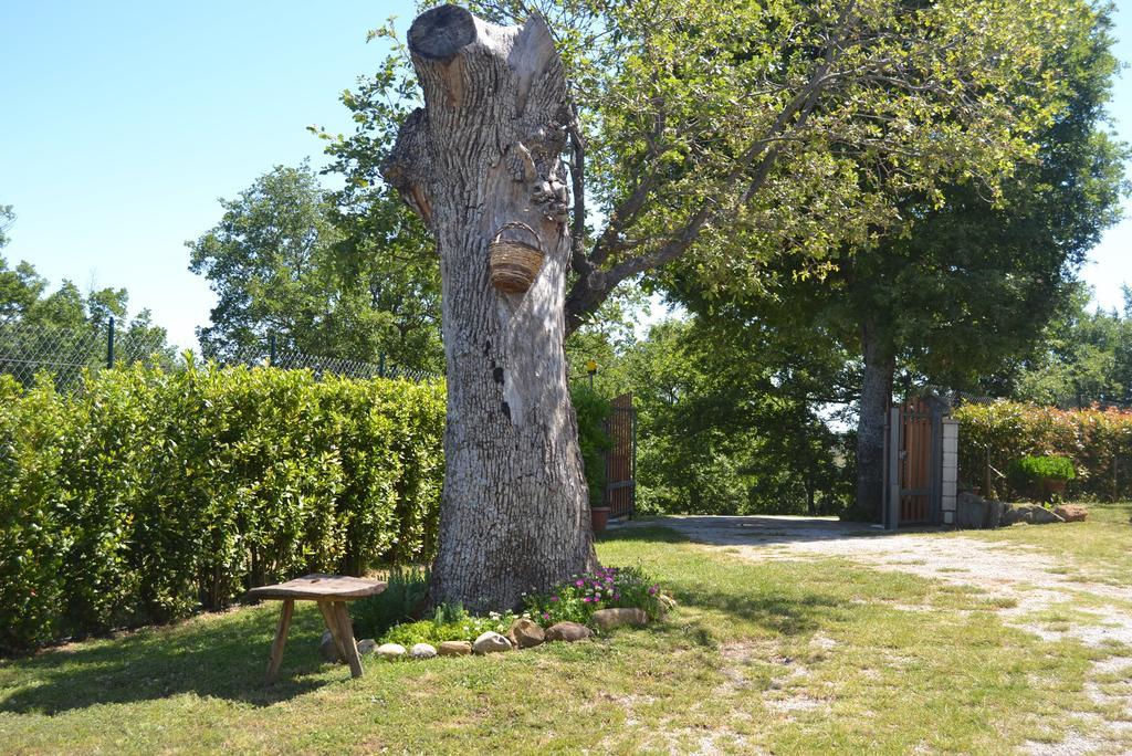 Al Bosco Delle Api Hotel Gallicchio Exterior foto