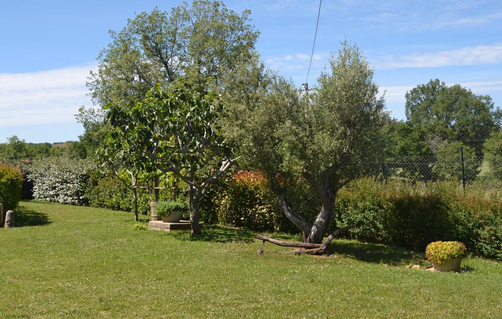 Al Bosco Delle Api Hotel Gallicchio Exterior foto